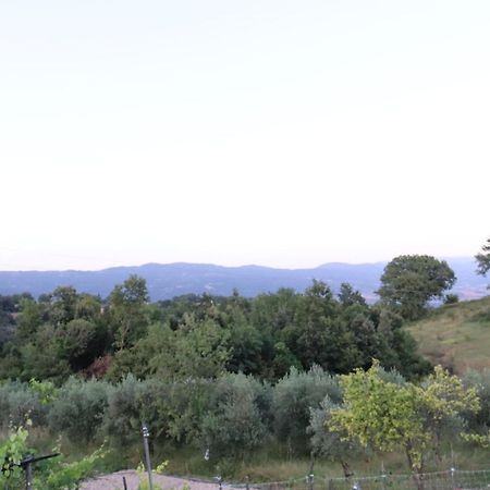 Ligustro Home Laino Borgo Zewnętrze zdjęcie